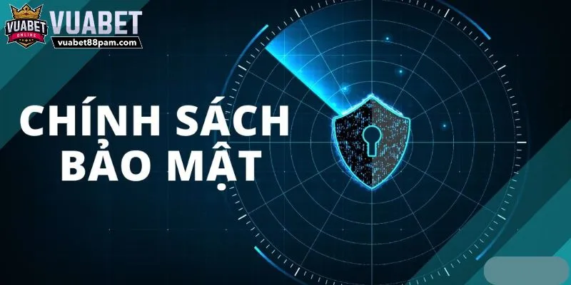 Thống kê các chính sách bảo mật Vuabet88