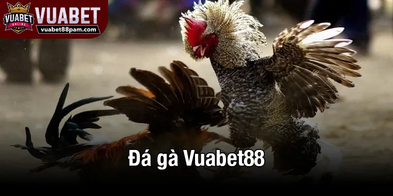Đá gà