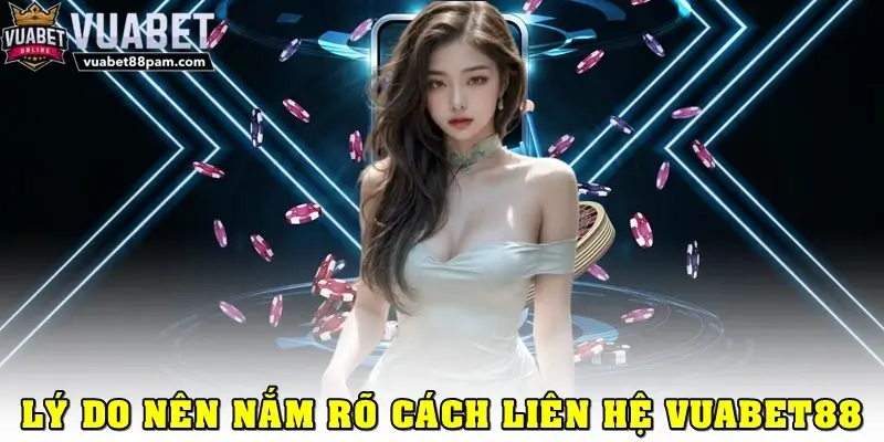 Tại sao cần nắm vững cách liên hệ Vuabet88?
