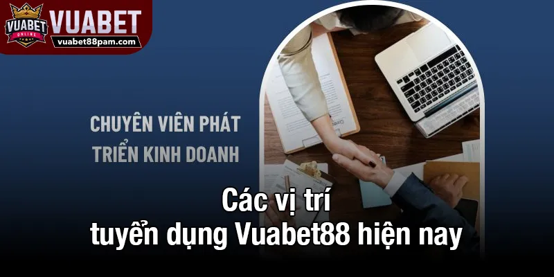 Các vị trí tuyển dụng Vuabet88 hiện nay